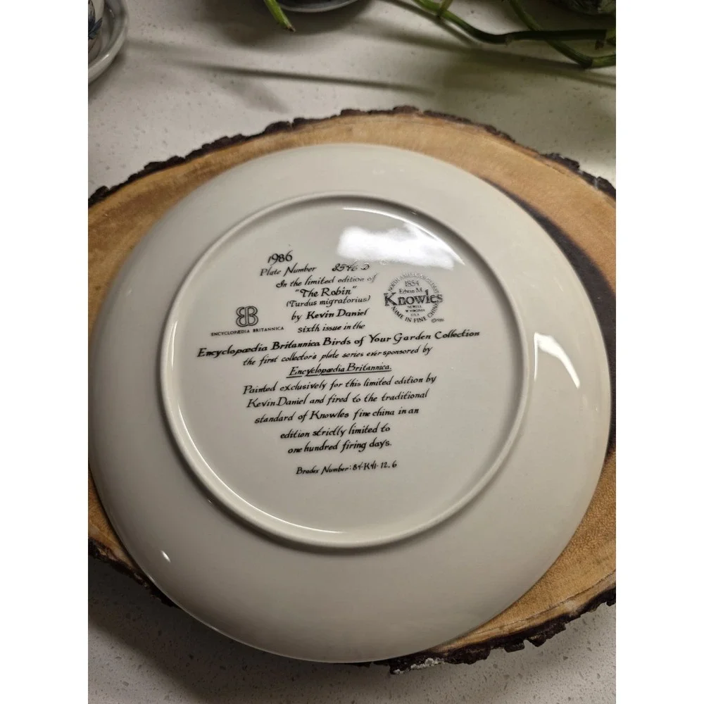 Encyclopedia Britannica Bird Of Your Garden Plate 